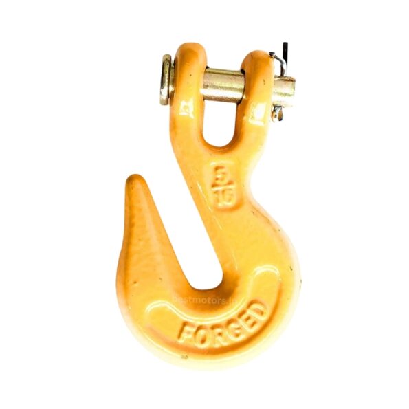 KINGSPADE Clevis Grab_Slip Hook With Latch - 5_16_ Inches (1 No.)